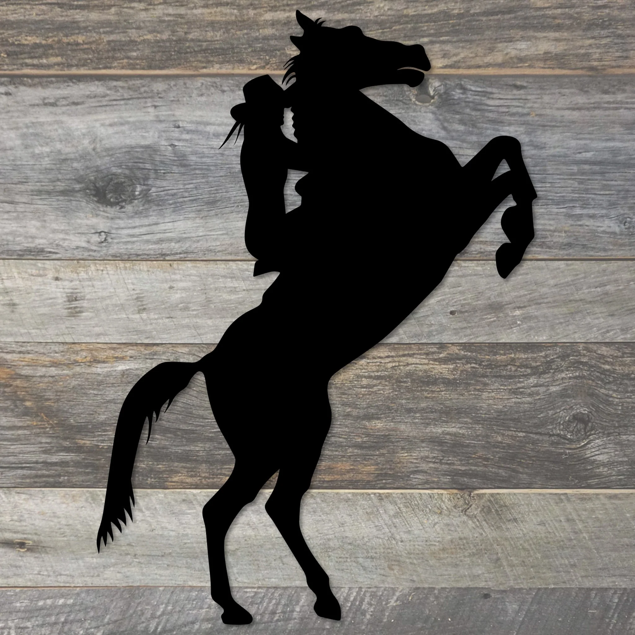 Cowgirl Metal Wall Art - Omega Custom Fabrication LLC
